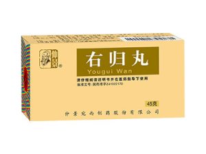 右归丸-重庆璟颐安医疗科技有限公司